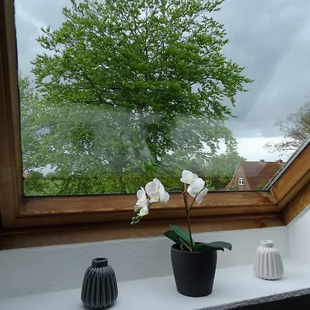 Ostarle Apartment *