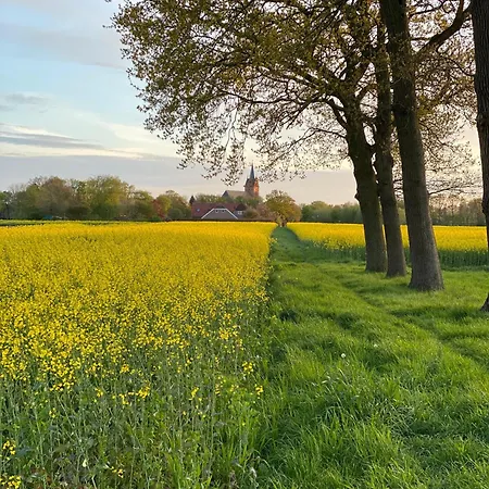 Ostarle Apartment Arle